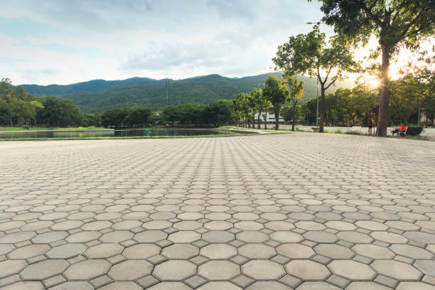 Best Driveway Pavers Contractor  in Arcola, TX