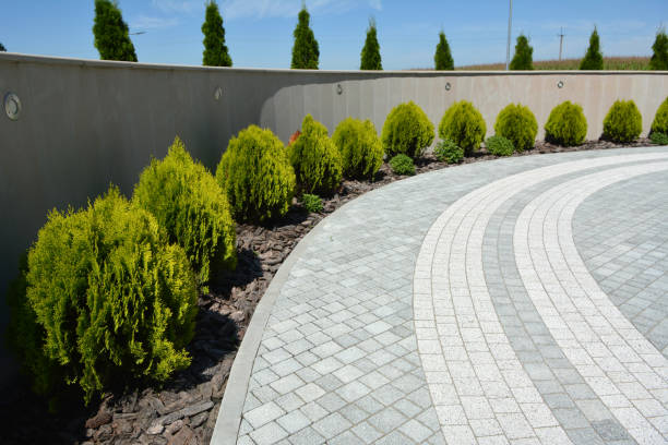 Best Permeable Paver Driveway  in Arcola, TX